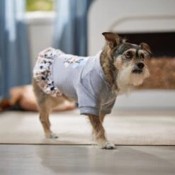 Frisco Stay Wild Dog & Cat Hoodie -Meowverse Store 555366 PT6. AC SS1800 V1674829061