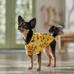 Frisco Safari Zebra Dog & Cat Shirt -Meowverse Store 555566 PT7. AC SS1800 V1675099388