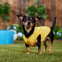 Frisco 30+ UPF Dog & Cat Beach Rash Guard 14 Frisco 30+ UPF Dog & Cat Beach Rash Guard -Meowverse Store 556286 PT6. AC SS1800 V1675714036