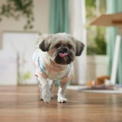 Frisco Vintage Tropical Dog & Cat Pocket T-Shirt -Meowverse Store 556598 PT5. AC SS1800 V1675101997