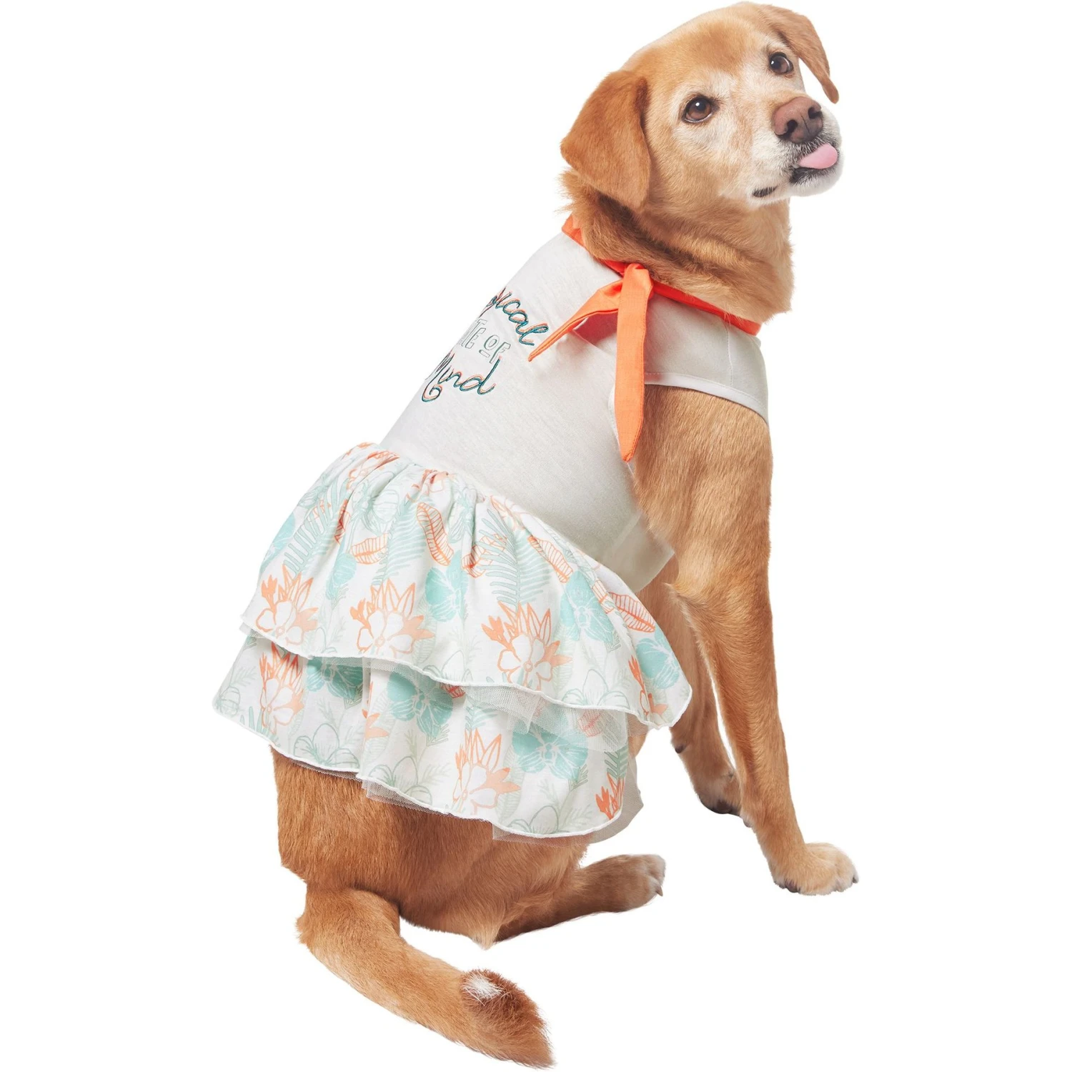 Frisco Tropical State Of Mind Dog & Cat Dress 4 Frisco Tropical State Of Mind Dog & Cat Dress - Image 4