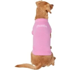 Frisco Personalized Basic Dog & Cat T-Shirt 9 Frisco Personalized Basic Dog & Cat T-Shirt -Meowverse Store 557438 PT2. AC SS1800 V1662738086