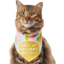 Frisco Wake Up Positive Dog & Cat Bandana -Meowverse Store 608230 PT2. AC SS1800 V1676644830