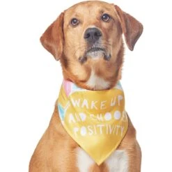 Frisco Wake Up Positive Dog & Cat Bandana -Meowverse Store 608230 PT3. AC SS1800 V1676643831