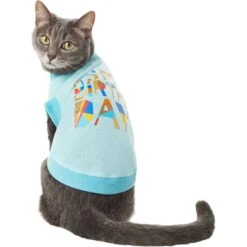Frisco Birthday Celebration Dog & Cat T-Shirt -Meowverse Store 608318 PT2. AC SS1800 V1676643772
