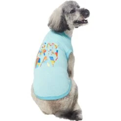 Frisco Birthday Celebration Dog & Cat T-Shirt -Meowverse Store 608318 PT3. AC SS1800 V1676643253