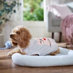 Frisco I Love Mommy Heart Dog & Cat T-Shirt -Meowverse Store 608382 PT7. AC SS1800 V1676643805