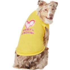 Frisco Mama's Sunshine Dog & Cat T-Shirt -Meowverse Store 608446 PT3. AC SS1800 V1676586071