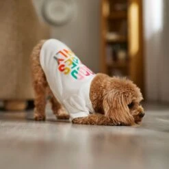 Frisco Good Vibes Only Dog & Cat T-Shirt 12 Frisco Good Vibes Only Dog & Cat T-Shirt -Meowverse Store 608518 PT7. AC SS1800 V1676644453