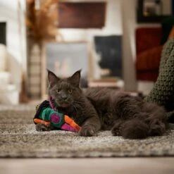 Frisco Halloween Frog In Witch Hat Plush Kicker Cat Toy With Catnip -Meowverse Store 667942 PT3. AC SS1800 V1689355019