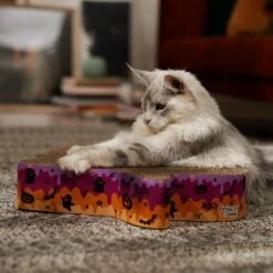 Frisco Halloween Ghost Swirl Scratcher Cat Toy With Catnip -Meowverse Store 668230 PT3. AC SS1800 V1689343997