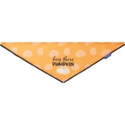 Frisco Hey There Pumpkin Dog & Cat Bandana 10 Frisco Hey There Pumpkin Dog & Cat Bandana -Meowverse Store 706374 PT3. AC SS1800 V1689282446