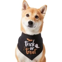 Frisco Trick Or Treat Dog & Cat Bandana -Meowverse Store 706398 PT2. AC SS1800 V1690478415