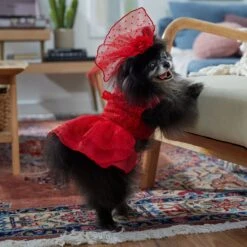 Frisco Red Ruffle Dog & Cat Dress + Headpiece -Meowverse Store 707286 PT7. AC SS1800 V1689351702