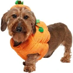 Frisco Pumpkin Ball Dog & Cat Costume -Meowverse Store 708902 PT2. AC SS1800 V1689351041