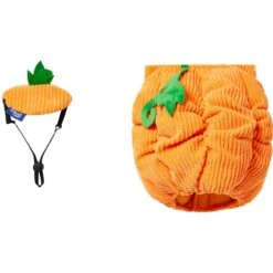 Frisco Pumpkin Ball Dog & Cat Costume -Meowverse Store 708902 PT4. AC SS1800 V1689342202