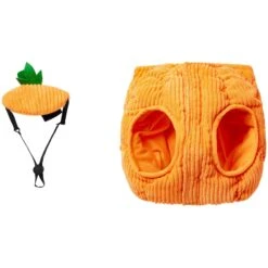 Frisco Pumpkin Ball Dog & Cat Costume -Meowverse Store 708902 PT5. AC SS1800 V1689343955