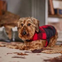 Frisco Reversible Medium Weight Boulder Plaid Dog & Cat Coat -Meowverse Store 717846 PT7. AC SS1800 V1692375977