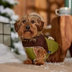 Frisco Heavy Weight 2-Tone Sherpa Lined Hybrid Quilted Dog & Cat Parka 16 Frisco Heavy Weight 2-Tone Sherpa Lined Hybrid Quilted Dog & Cat Parka -Meowverse Store 718038 PT7. AC SS1800 V1692378337