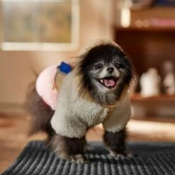 Frisco Colorblock Fleece Dog & Cat Hoodie W/ Pocket 16 Frisco Colorblock Fleece Dog & Cat Hoodie W/ Pocket -Meowverse Store 718278 PT7. AC SS1800 V1692375977