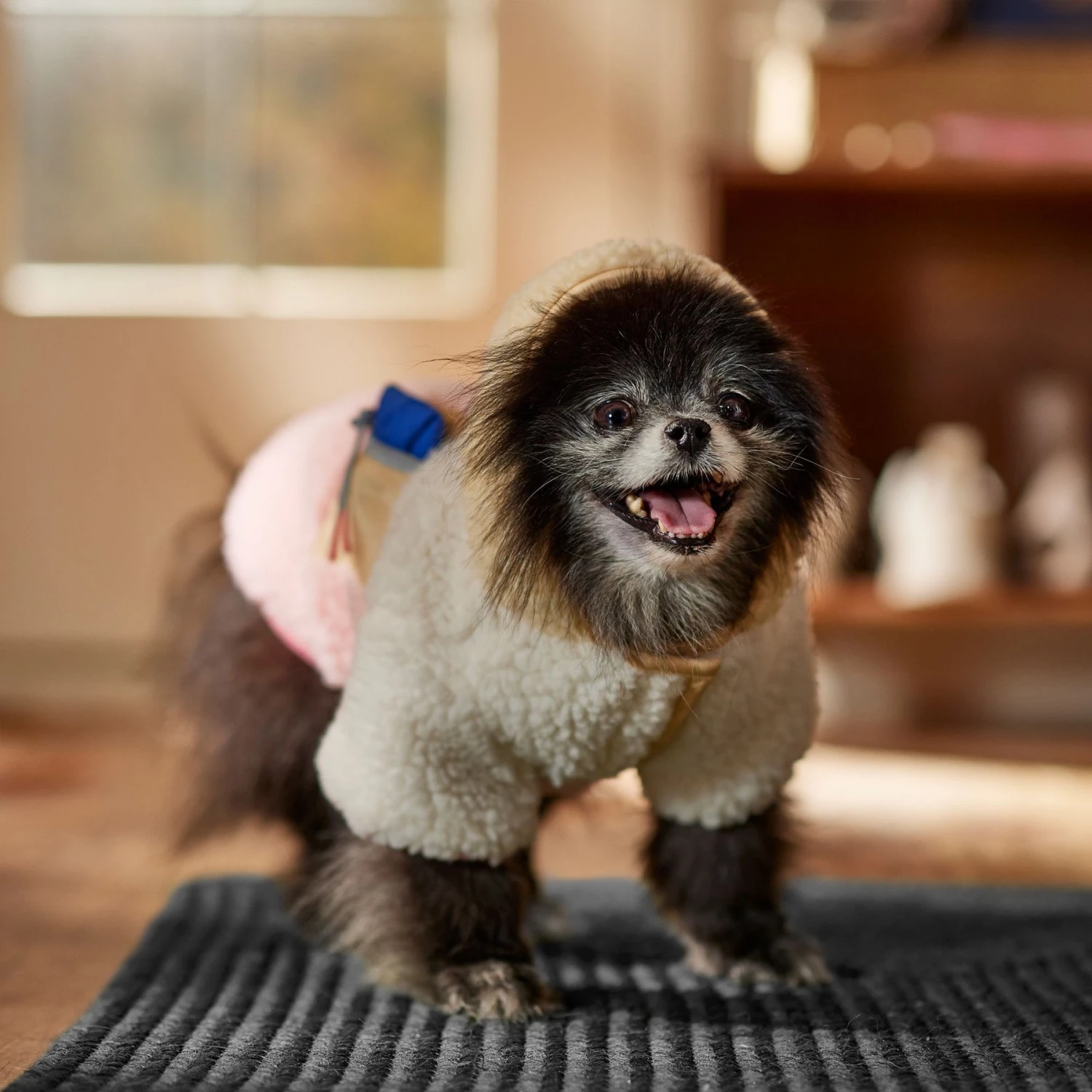 Frisco Colorblock Fleece Dog & Cat Hoodie W/ Pocket 8 Frisco Colorblock Fleece Dog & Cat Hoodie W/ Pocket - Image 8