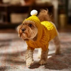 Frisco Sherpa Lined Chunky Cable Knit Dog & Cat Hooded Sweater 14 Frisco Sherpa Lined Chunky Cable Knit Dog & Cat Hooded Sweater -Meowverse Store 718374 PT7. AC SS1800 V1692379031