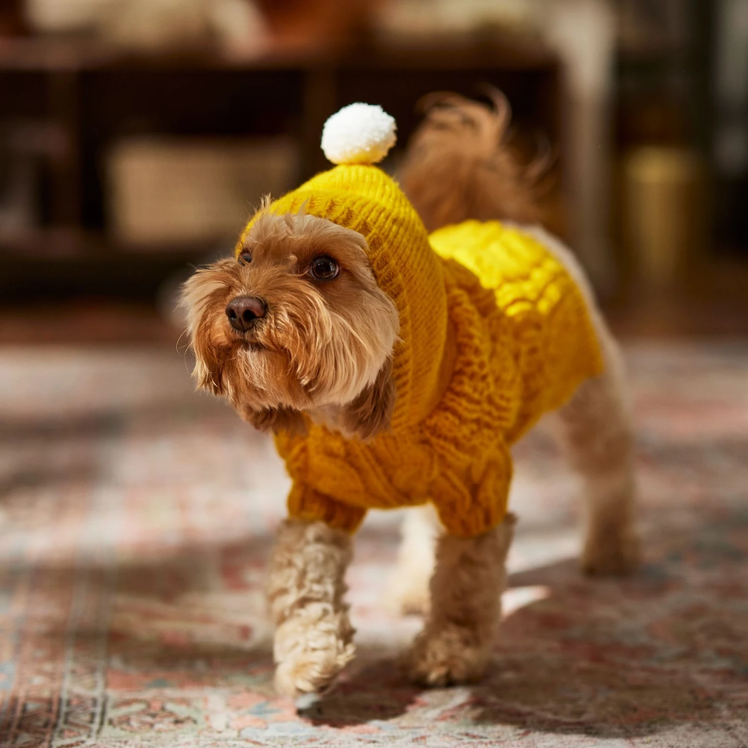 Frisco Sherpa Lined Chunky Cable Knit Dog & Cat Hooded Sweater 7 Frisco Sherpa Lined Chunky Cable Knit Dog & Cat Hooded Sweater - Image 7