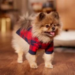 Frisco Fleece Lined Buffalo Plaid Mock Neck Dog & Cat Sweater 16 Frisco Fleece Lined Buffalo Plaid Mock Neck Dog & Cat Sweater -Meowverse Store 718470 PT7. AC SS1800 V1692378099