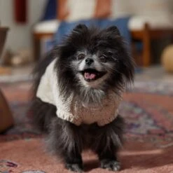 Frisco Sherpa Lined Chunky Cable Knit Dog & Cat Sweater -Meowverse Store 718518 PT7. AC SS1800 V1692378338