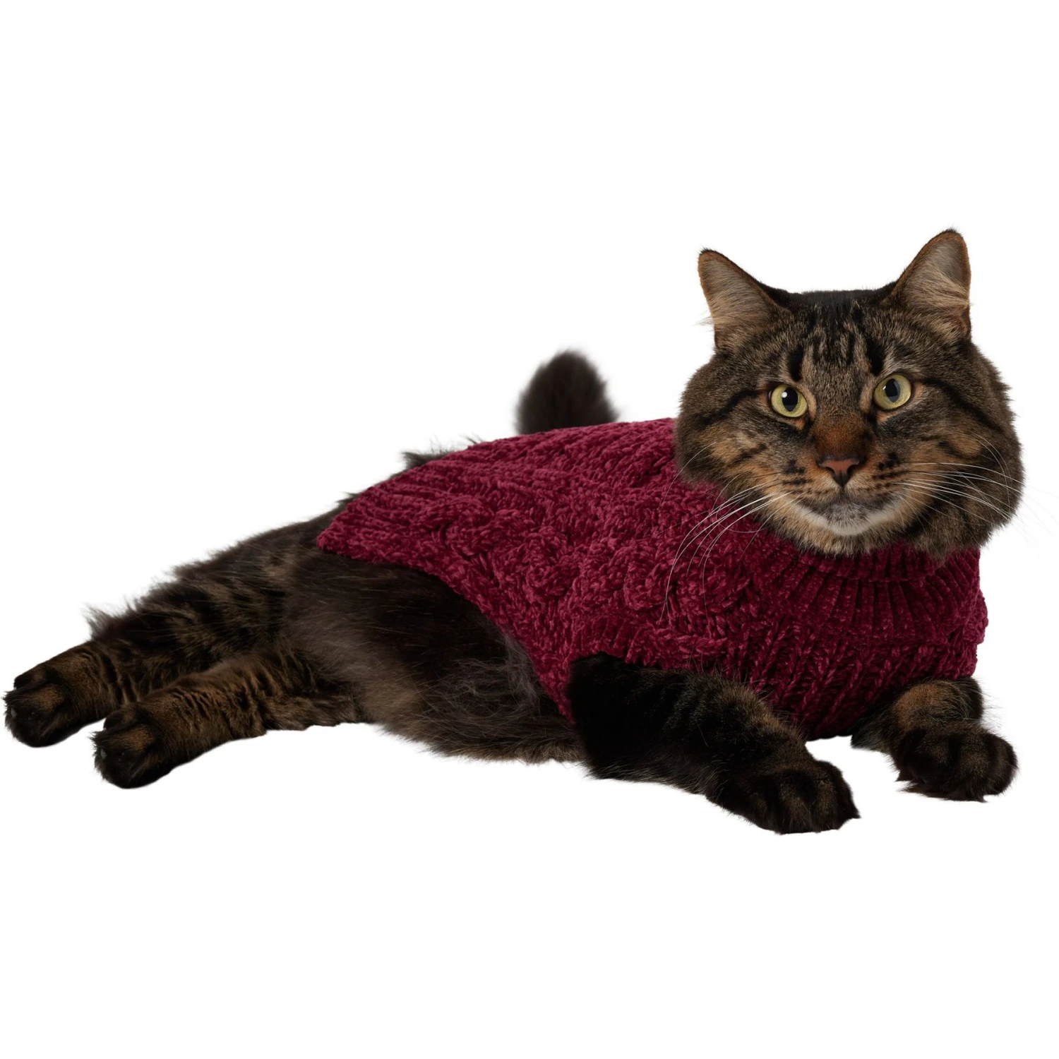 Frisco Cozy Textured Chenille Dog & Cat Sweater 1 Frisco Cozy Textured Chenille Dog & Cat Sweater