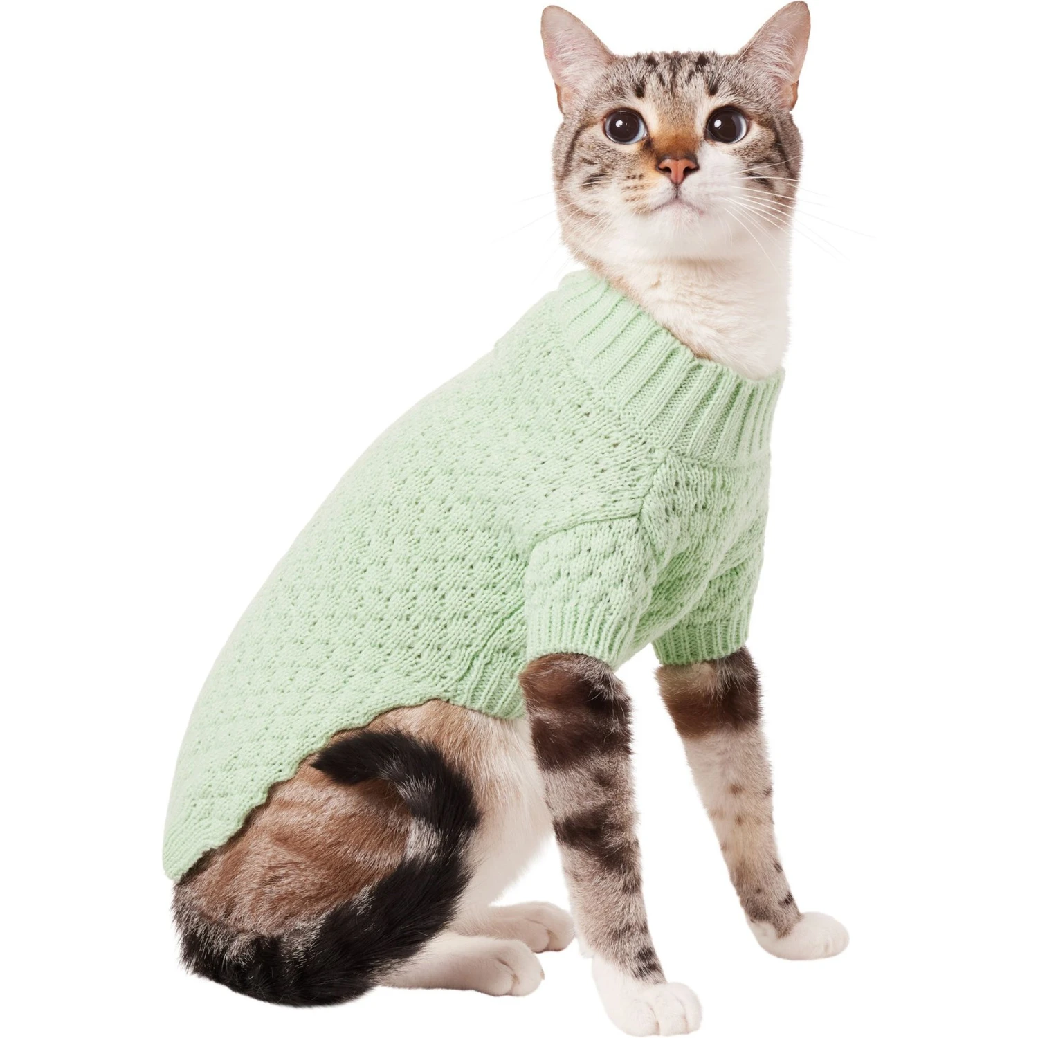 Frisco Bubble Knit Mock Neck Dog & Cat Sweater 1 Frisco Bubble Knit Mock Neck Dog & Cat Sweater