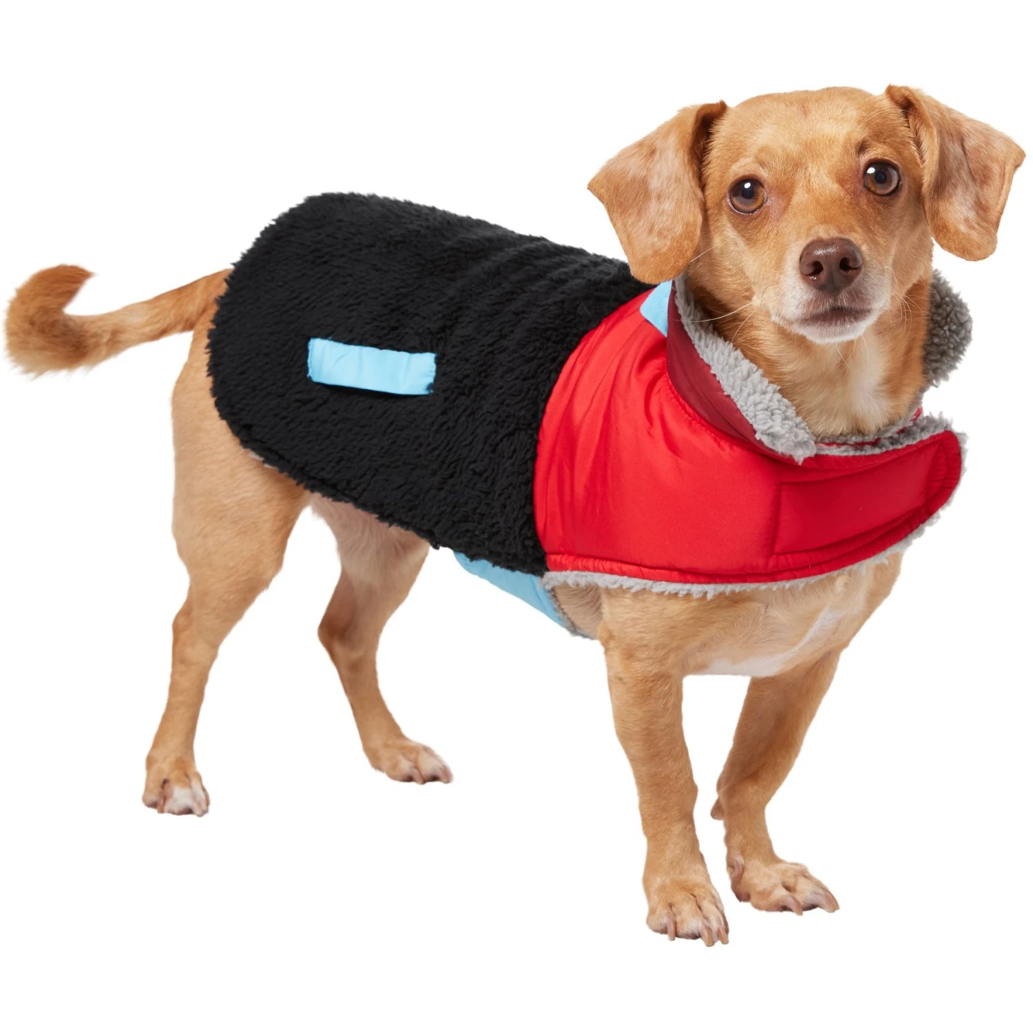 Frisco Medium Weight Retro Colorblock Mixed Media Dog & Cat Coat 3 Frisco Medium Weight Retro Colorblock Mixed Media Dog & Cat Coat - Image 3