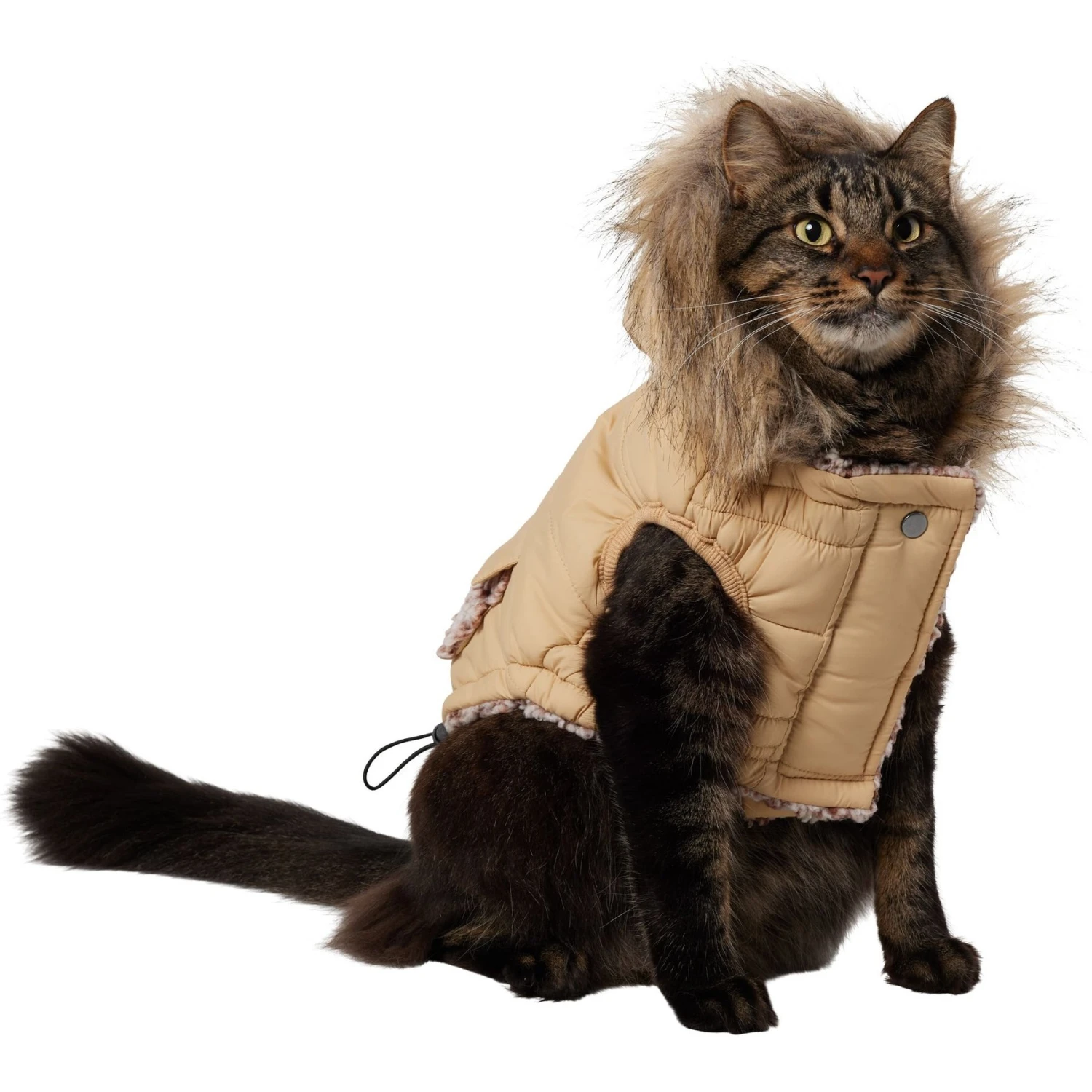 Frisco Heavy Weight Matte Quilted Dog & Cat Parka With Cozy Fleece Lining 1 Frisco Heavy Weight Matte Quilted Dog & Cat Parka With Cozy Fleece Lining