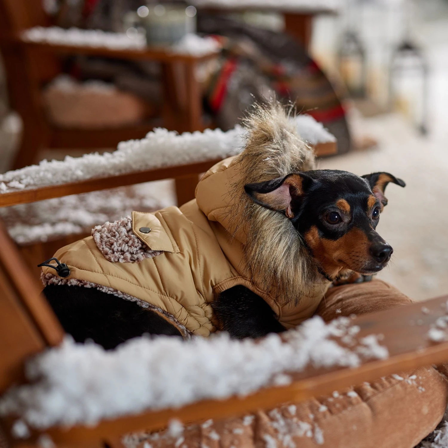 Frisco Heavy Weight Matte Quilted Dog & Cat Parka With Cozy Fleece Lining 8 Frisco Heavy Weight Matte Quilted Dog & Cat Parka With Cozy Fleece Lining - Image 8