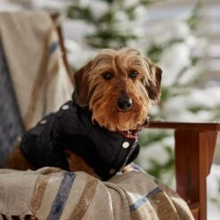 Frisco Heavy Weight Matte Quilted Volume Dog & Cat Puffer 16 Frisco Heavy Weight Matte Quilted Volume Dog & Cat Puffer -Meowverse Store 719750 PT7. AC SS1800 V1692377763