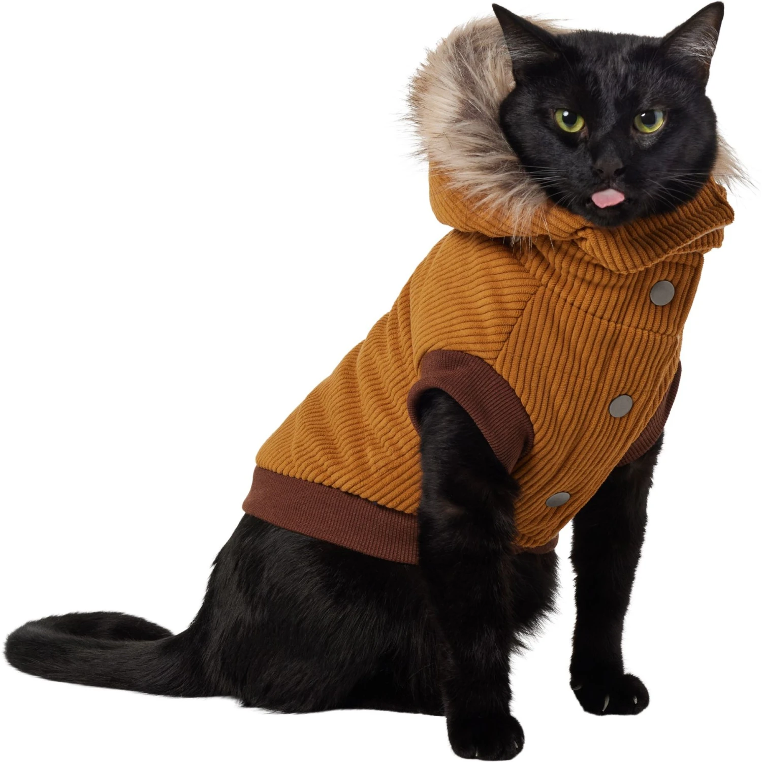 Frisco Heavy Weight Lux Corduroy Insulated Dog & Cat Coat With Fur Trimmed Hood 1 Frisco Heavy Weight Lux Corduroy Insulated Dog & Cat Coat With Fur Trimmed Hood
