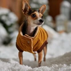 Frisco Heavy Weight Lux Corduroy Insulated Dog & Cat Coat With Fur Trimmed Hood 16 Frisco Heavy Weight Lux Corduroy Insulated Dog & Cat Coat With Fur Trimmed Hood -Meowverse Store 719966 PT7. AC SS1800 V1692377819