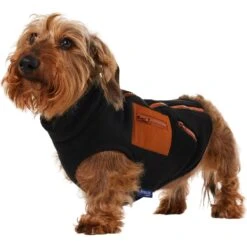 Frisco Light Weight Leopard Print Lined Fleece Dog & Cat Vest -Meowverse Store 720694 PT2. AC SS1800 V1703194382