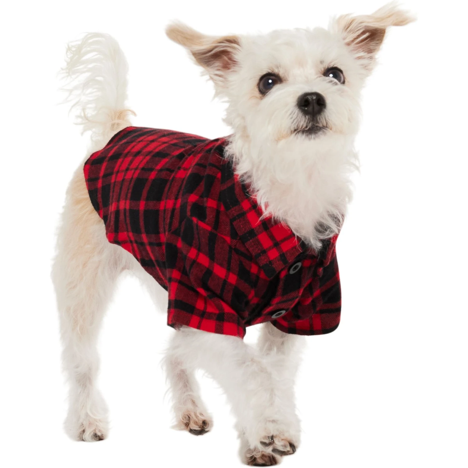 Frisco Red Tartan Plaid Dog & Cat Flannel Shirt 3 Frisco Red Tartan Plaid Dog & Cat Flannel Shirt - Image 3