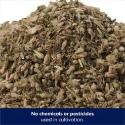 Frisco Natural Catnip & Hartz Just For Cats Mini Mice Cat Toy With Catnip, 5 Count -Meowverse Store 737478 PT3. AC SS1800 V1683212198