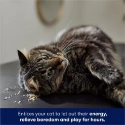 Frisco Natural Catnip & Hartz Just For Cats Mini Mice Cat Toy With Catnip, 5 Count -Meowverse Store 737478 PT4. AC SS1800 V1683212204