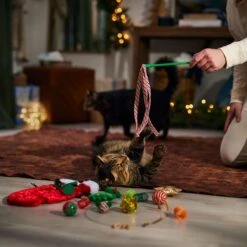 Frisco Holiday Cozy Christmas Sack Variety Pack Cat Toy With Catnip -Meowverse Store 740054 PT3. AC SS1800 V1694812461