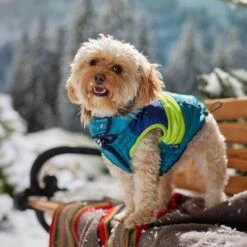 Frisco Heavy Weight Urban City Colorblock Dog & Cat Parka With Sherpa Lining 14 Frisco Heavy Weight Urban City Colorblock Dog & Cat Parka With Sherpa Lining -Meowverse Store 742262 PT7. AC SS1800 V1692378161