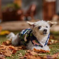 Frisco Medium Weight Urban City Camo Printed Dog & Cat Hooded Coat 16 Frisco Medium Weight Urban City Camo Printed Dog & Cat Hooded Coat -Meowverse Store 742358 PT7. AC SS1800 V1692376368