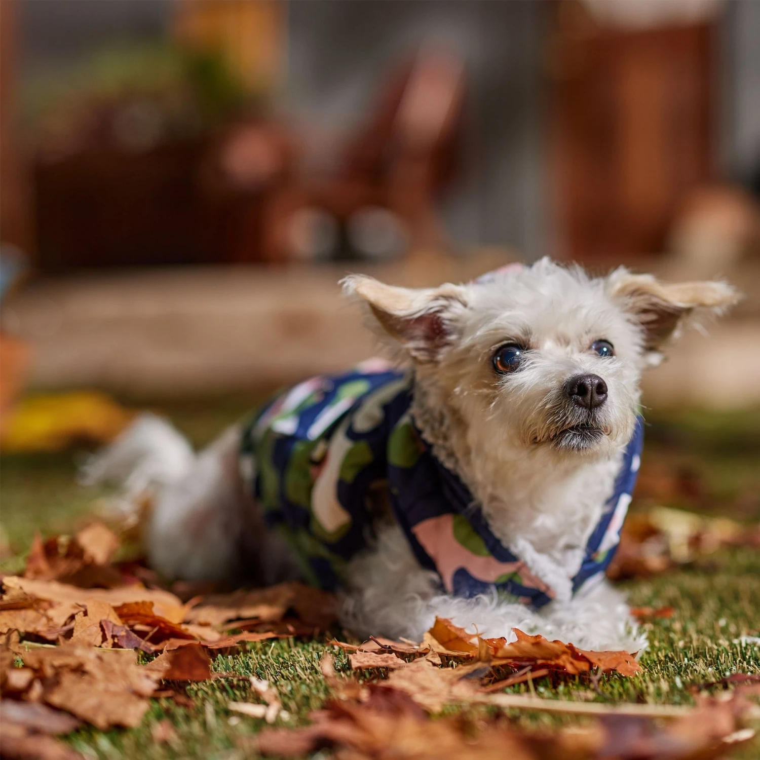 Frisco Medium Weight Urban City Camo Printed Dog & Cat Hooded Coat 8 Frisco Medium Weight Urban City Camo Printed Dog & Cat Hooded Coat - Image 8