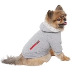 Frisco Sweatshirt Fleece Dog & Cat Hoodie With Sherpa Lining -Meowverse Store 742550 PT2. AC SS1800 V1703194378