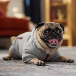 Frisco Sweatshirt Fleece Dog & Cat Hoodie With Sherpa Lining -Meowverse Store 742550 PT7. AC SS1800 V1692378690