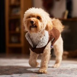 Frisco Medium Weight Quilted Dog & Cat Coat With Cozy Sherpa Lining -Meowverse Store 744310 PT7. AC SS1800 V1692375981