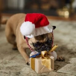 Frisco Chunky Knit Santa Dog & Cat Hat 12 Frisco Chunky Knit Santa Dog & Cat Hat -Meowverse Store 744878 PT5. AC SS1800 V1694793814