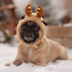 Frisco Sherpa Reindeer Dog & Cat Hat With Bells -Meowverse Store 745646 PT5. AC SS1800 V1694795597